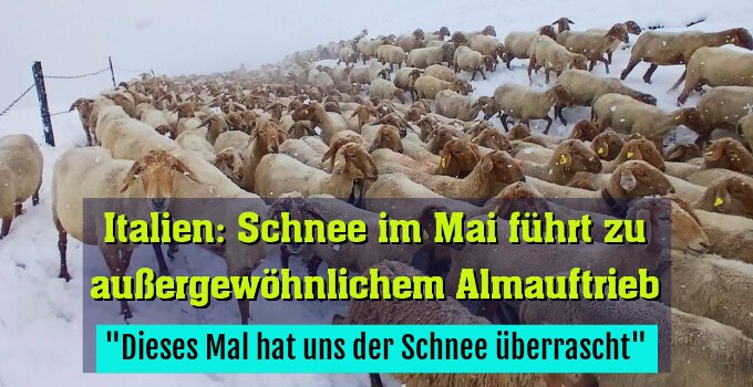 "Dieses Mal hat uns der Schnee überrascht"