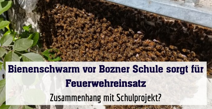 Zusammenhang mit Schulprojekt?