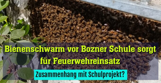 Zusammenhang mit Schulprojekt?