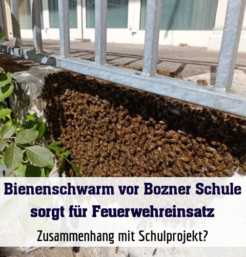 Zusammenhang mit Schulprojekt?