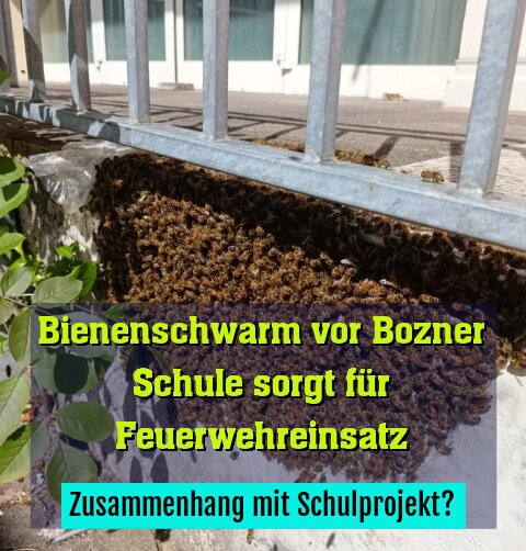 Zusammenhang mit Schulprojekt?