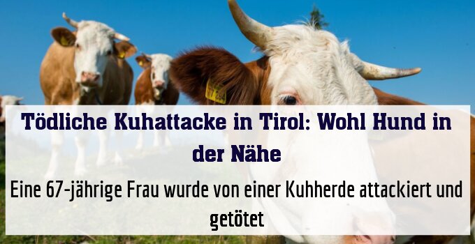 Eine 67-jährige Frau wurde von einer Kuhherde attackiert und getötet