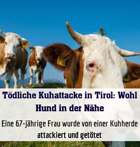 Eine 67-jährige Frau wurde von einer Kuhherde attackiert und getötet