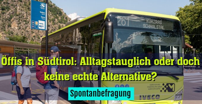 Spontanbefragung