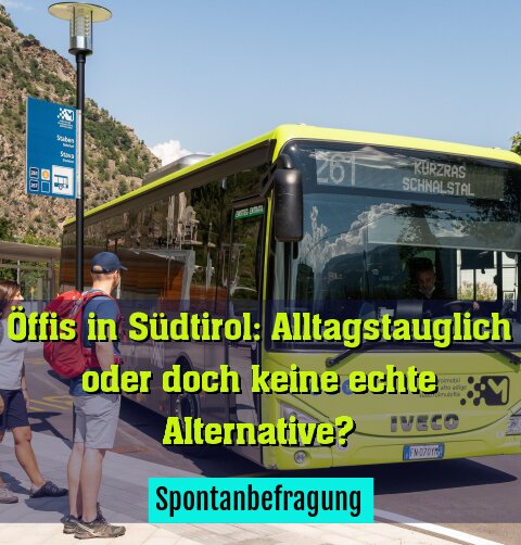 Spontanbefragung
