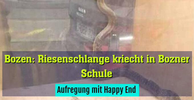 Aufregung mit Happy End