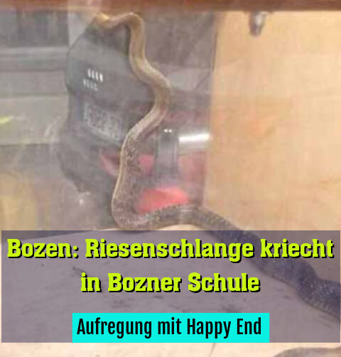 Aufregung mit Happy End