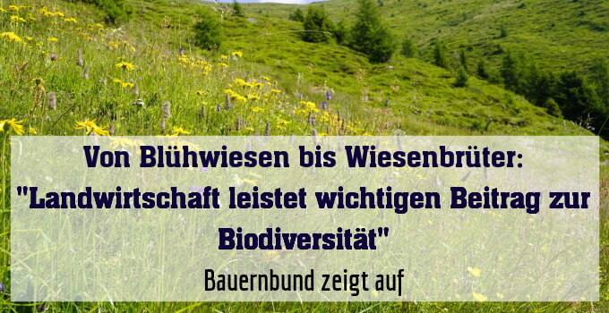 Bauernbund zeigt auf