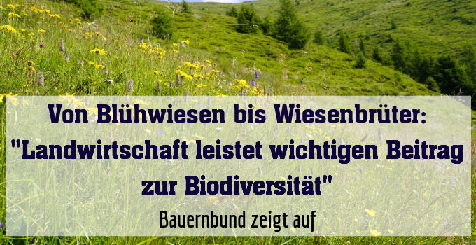 Bauernbund zeigt auf