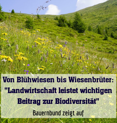 Bauernbund zeigt auf