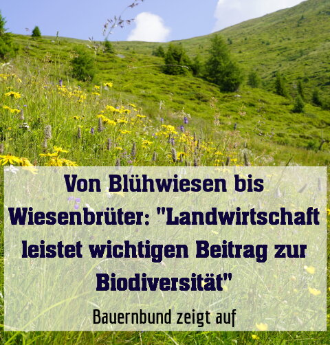 Bauernbund zeigt auf