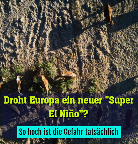 So hoch ist die Gefahr tatsächlich