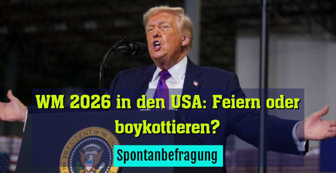 Spontanbefragung