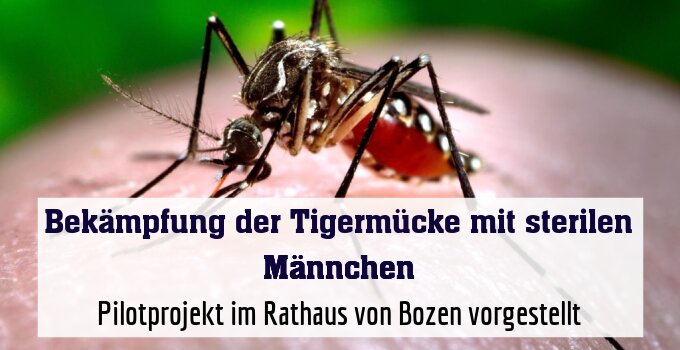 Pilotprojekt im Rathaus von Bozen vorgestellt