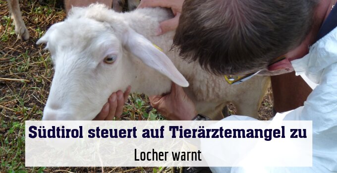Locher warnt