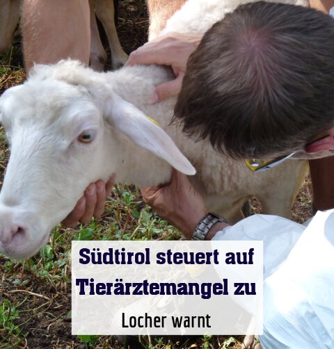 Locher warnt