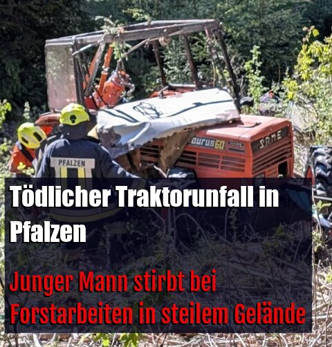 Junger Mann stirbt bei Forstarbeiten in steilem Gelände
