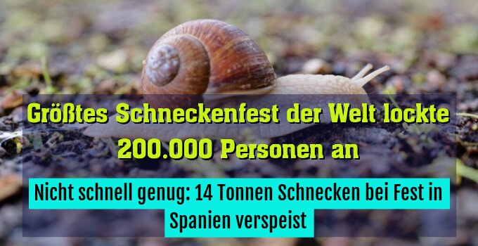 Nicht schnell genug: 14 Tonnen Schnecken bei Fest in Spanien verspeist