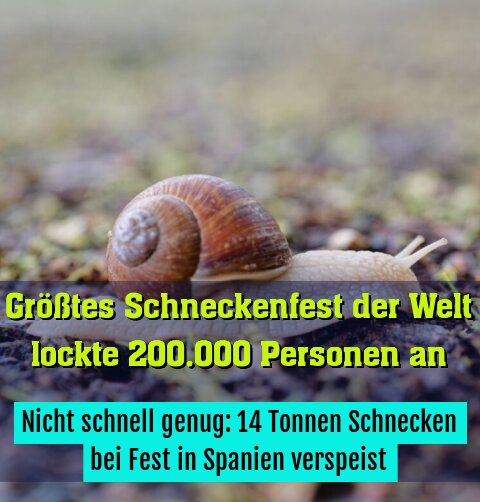 Nicht schnell genug: 14 Tonnen Schnecken bei Fest in Spanien verspeist