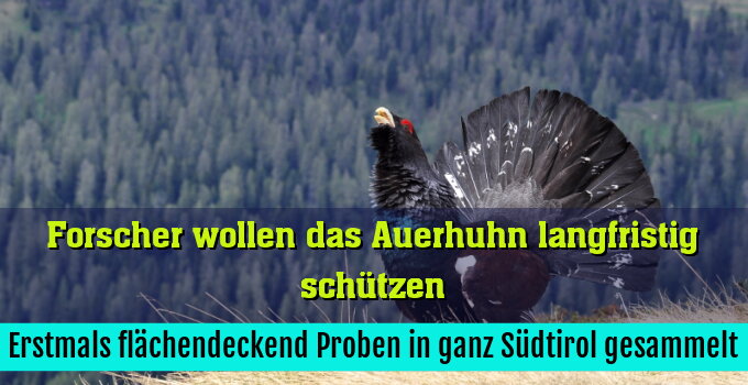 Erstmals flächendeckend Proben in ganz Südtirol gesammelt