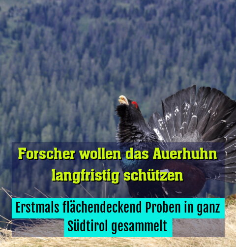 Erstmals flächendeckend Proben in ganz Südtirol gesammelt