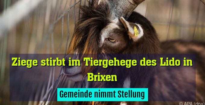 Gemeinde Brixen nimmt Stellung
