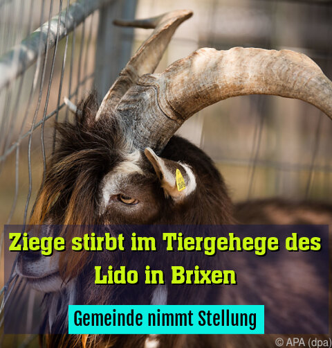 Gemeinde Brixen nimmt Stellung