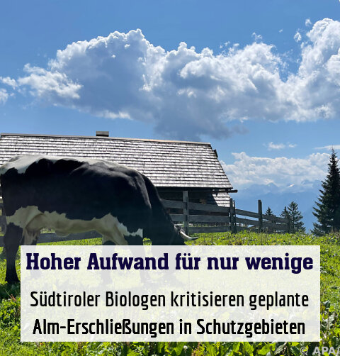 Südtiroler Biologen kritisieren geplante Alm-Erschließungen in Schutzgebieten