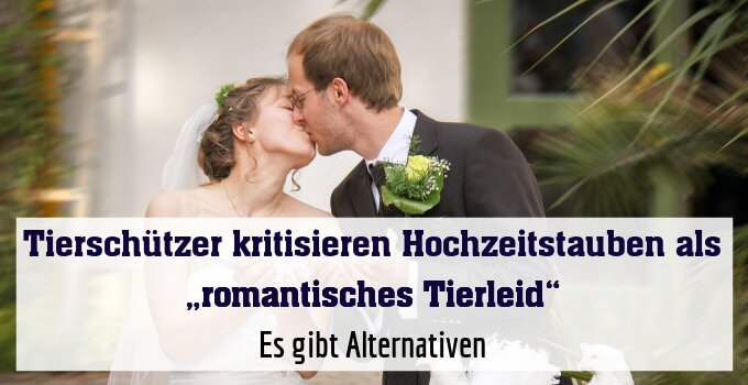 Es gibt Alternativen