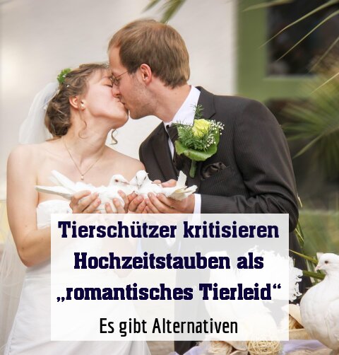 Es gibt Alternativen