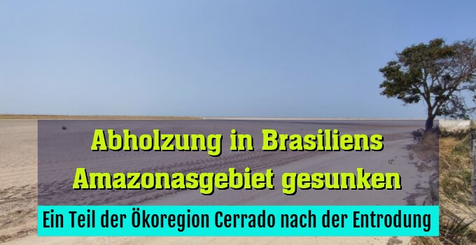 Ein Teil der Ökoregion Cerrado nach der Entrodung