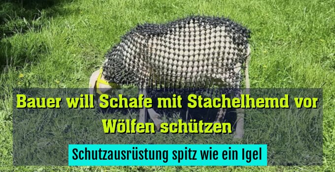 Schutzausrüstung spitz wie ein Igel