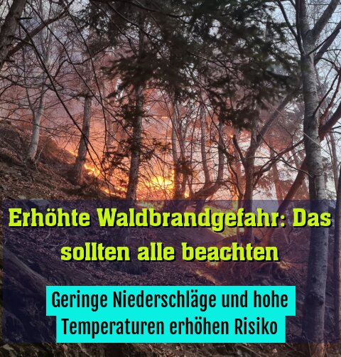 Geringe Niederschläge und hohe Temperaturen erhöhen Risiko