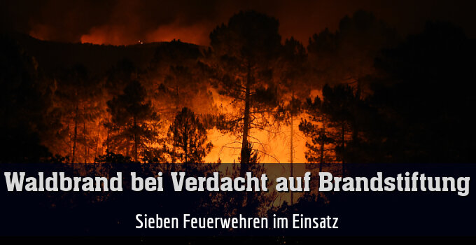 Sieben Feuerwehren im Einsatz