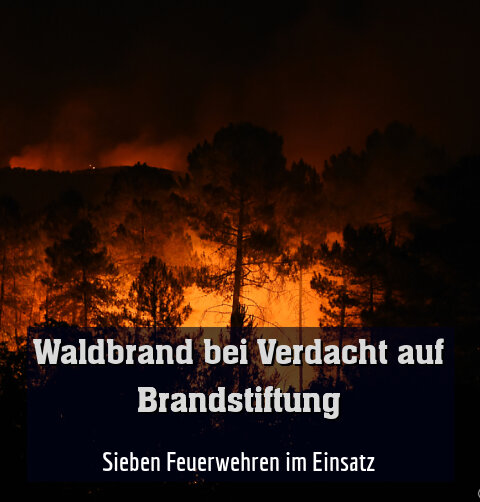 Sieben Feuerwehren im Einsatz
