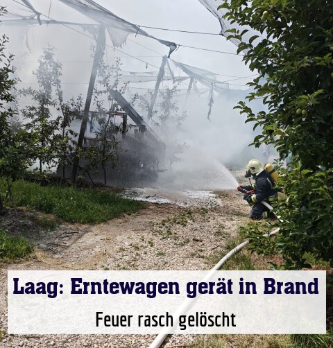 Feuer rasch gelöscht