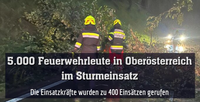 Zahlreiche Bäume stürzten um