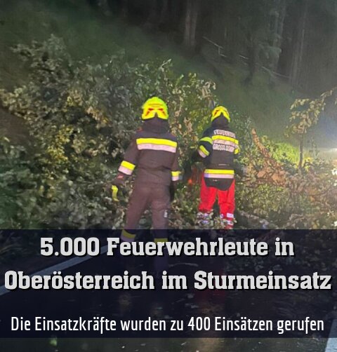 Zahlreiche Bäume stürzten um