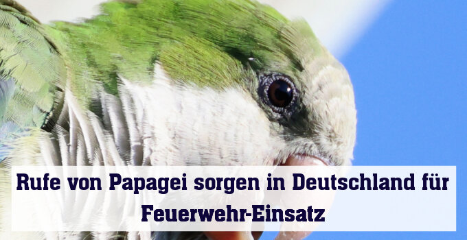 Hilfe, Hilfe!