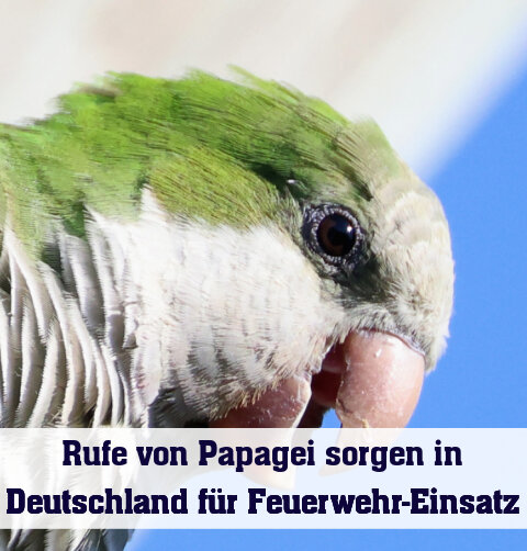 Hilfe, Hilfe!