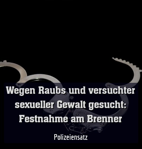 Polizeiensatz