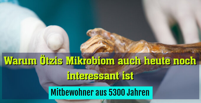 Mitbewohner aus 5300 Jahren