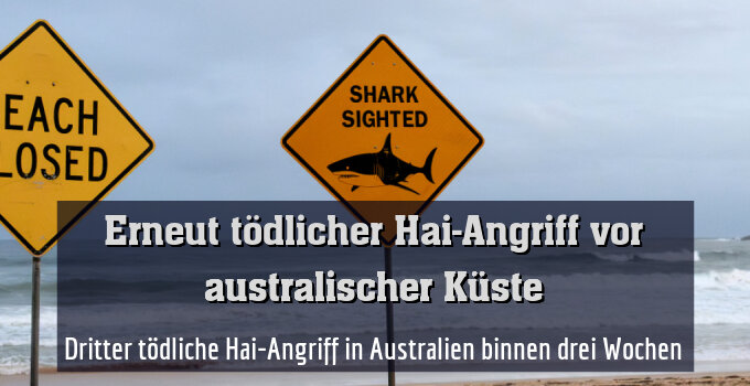 Dritter tödliche Hai-Angriff in Australien binnen drei Wochen