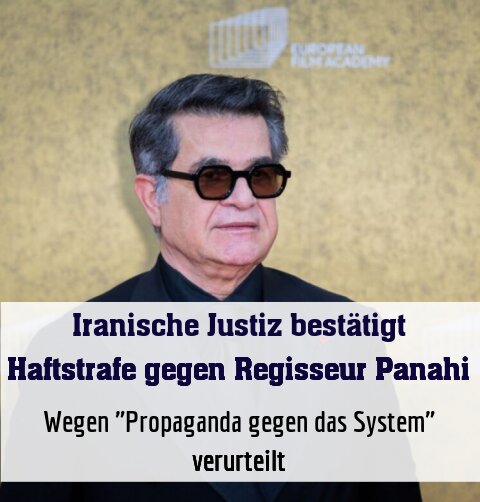 Wegen "Propaganda gegen das System" verurteilt