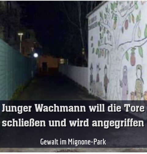 Gewalt im Mignone-Park