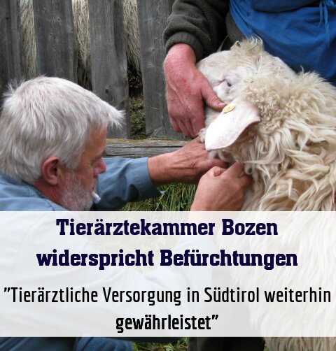 "Tierärztliche Versorgung in Südtirol weiterhin gewährleistet"