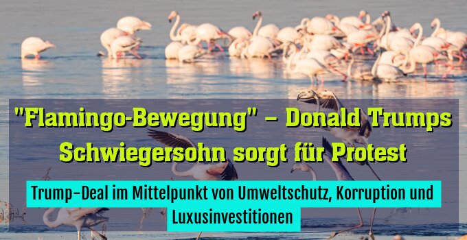 Trump-Deal im Mittelpunkt von Umweltschutz, Korruption und Luxusinvestitionen