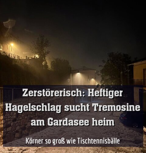 Körner so groß wie Tischtennisbälle