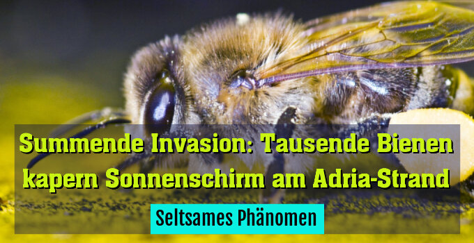 Seltsames Phänomen