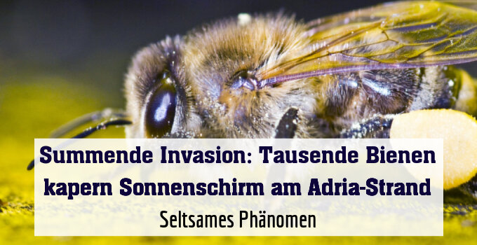 Seltsames Phänomen